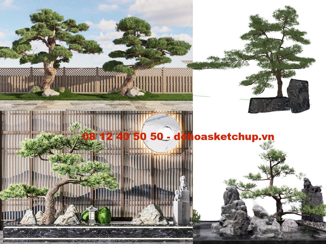 Cây Tùng Sketchup